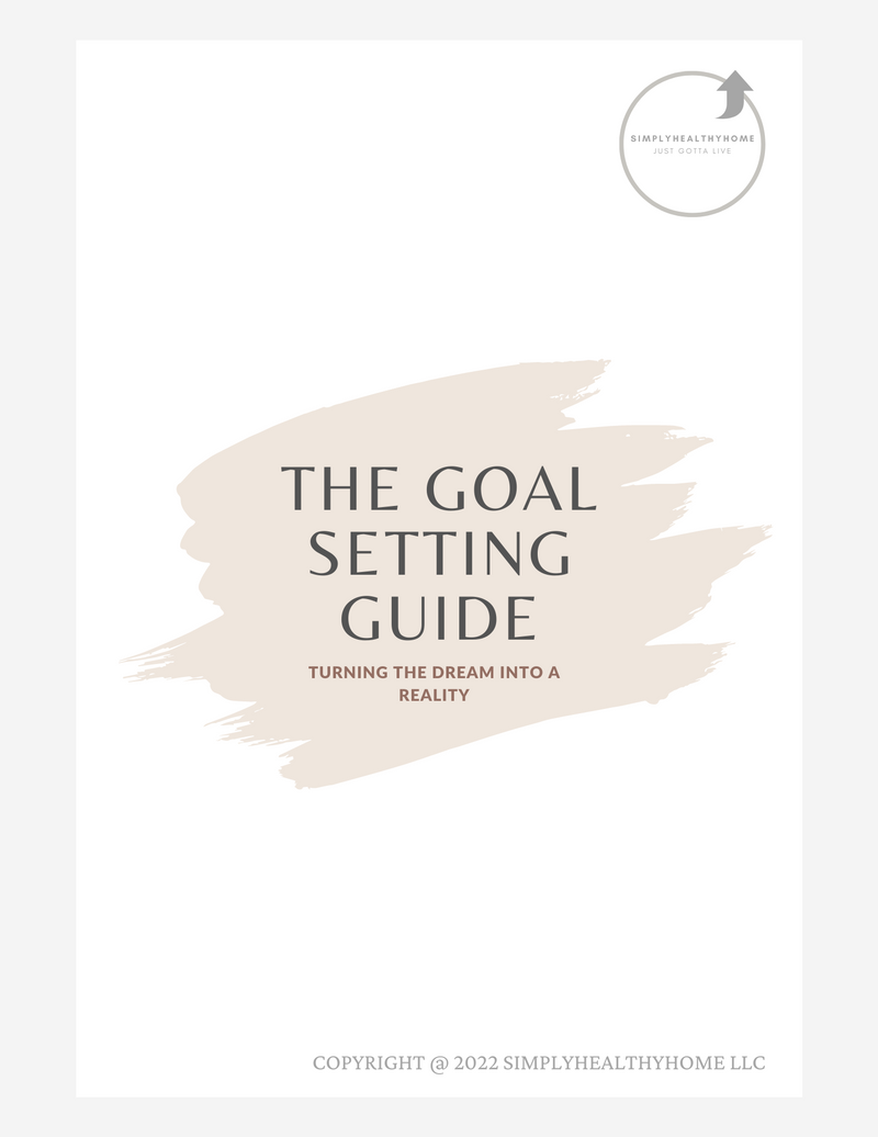 The Goal Setting Guide