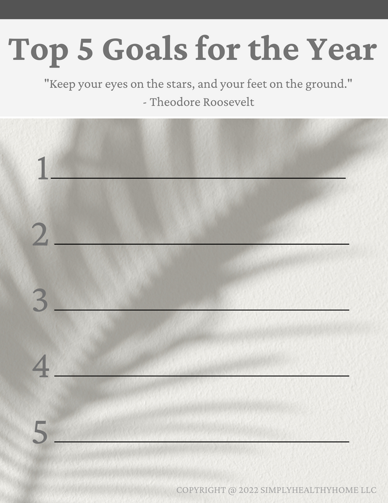 The Goal Setting Guide